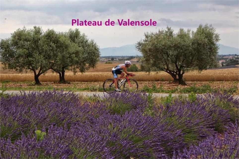 Coeur De Ville, T2, Rue Pietonne, Digne Les Bains 外观 照片